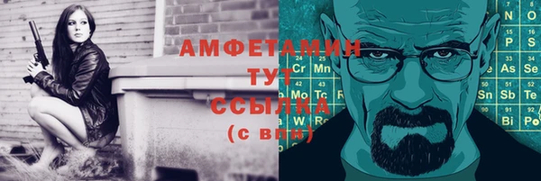 гидра Верхний Тагил