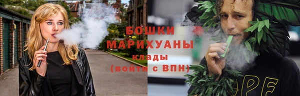 гидра Верхний Тагил