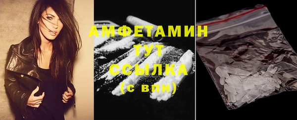 гидра Верхний Тагил