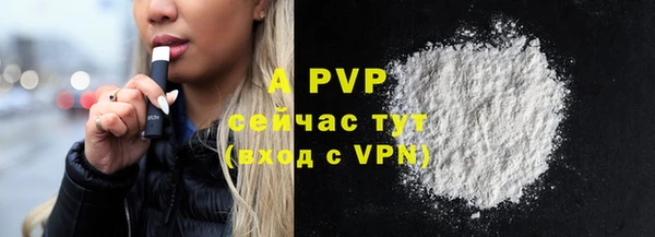 стаф Верея