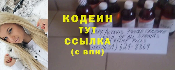 мдпв Богородск