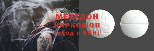 стаф Верея