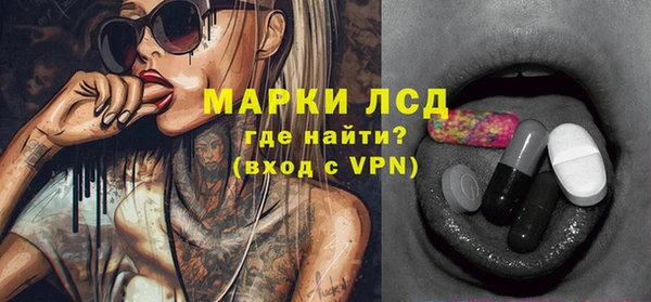 стаф Верея