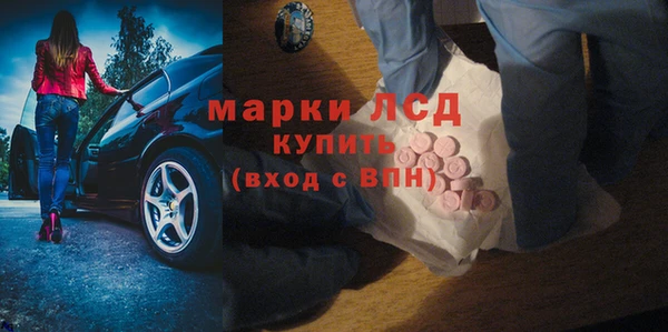 apvp Бородино