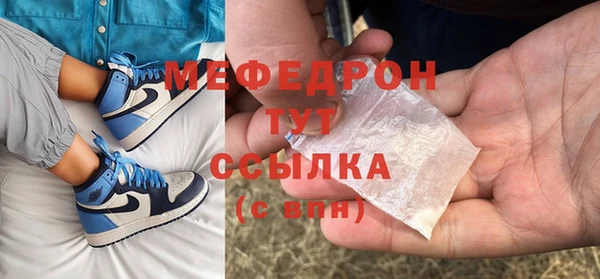 стаф Верея