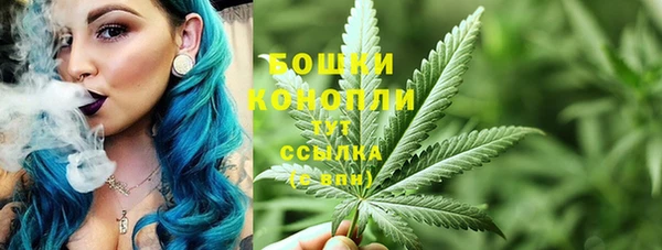 apvp Бородино