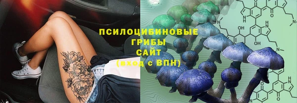 прущая мука Бронницы