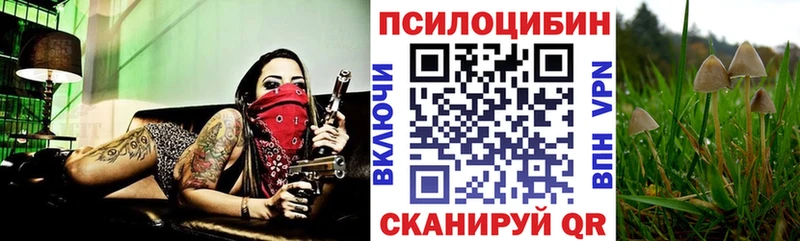Галлюциногенные грибы Psilocybine cubensis  Ершов 